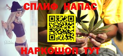 молекула духа Кандалакша