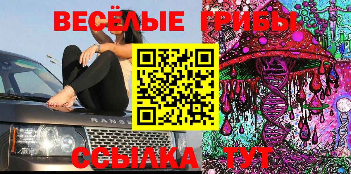 Кулебаки  Псилоцибиновые грибы прущие грибы  наркота  Вход с VPN 