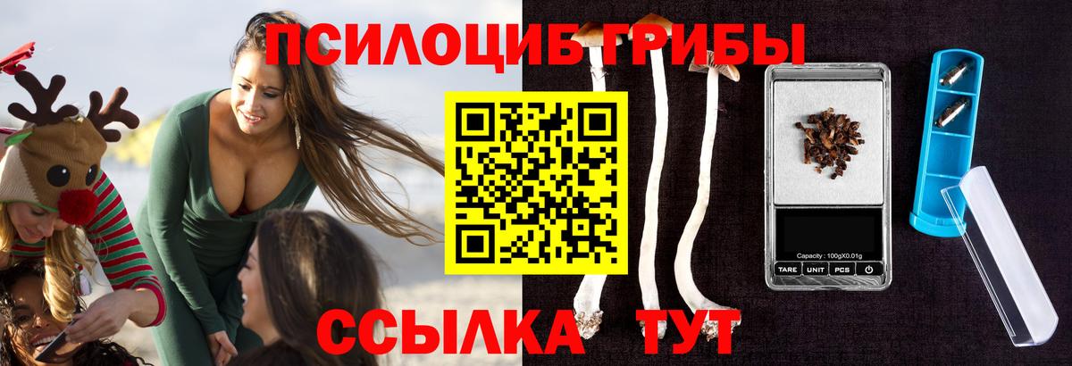 Псилоцибиновые грибы прущие грибы Кулебаки