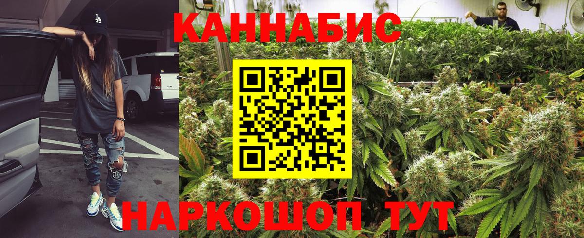 Конопля сатива  Вход с VPN  Кулебаки  Бошки Шишки OG Kush 